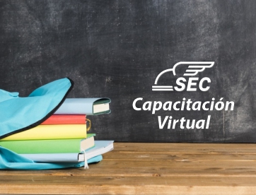 Capacitación Virtual